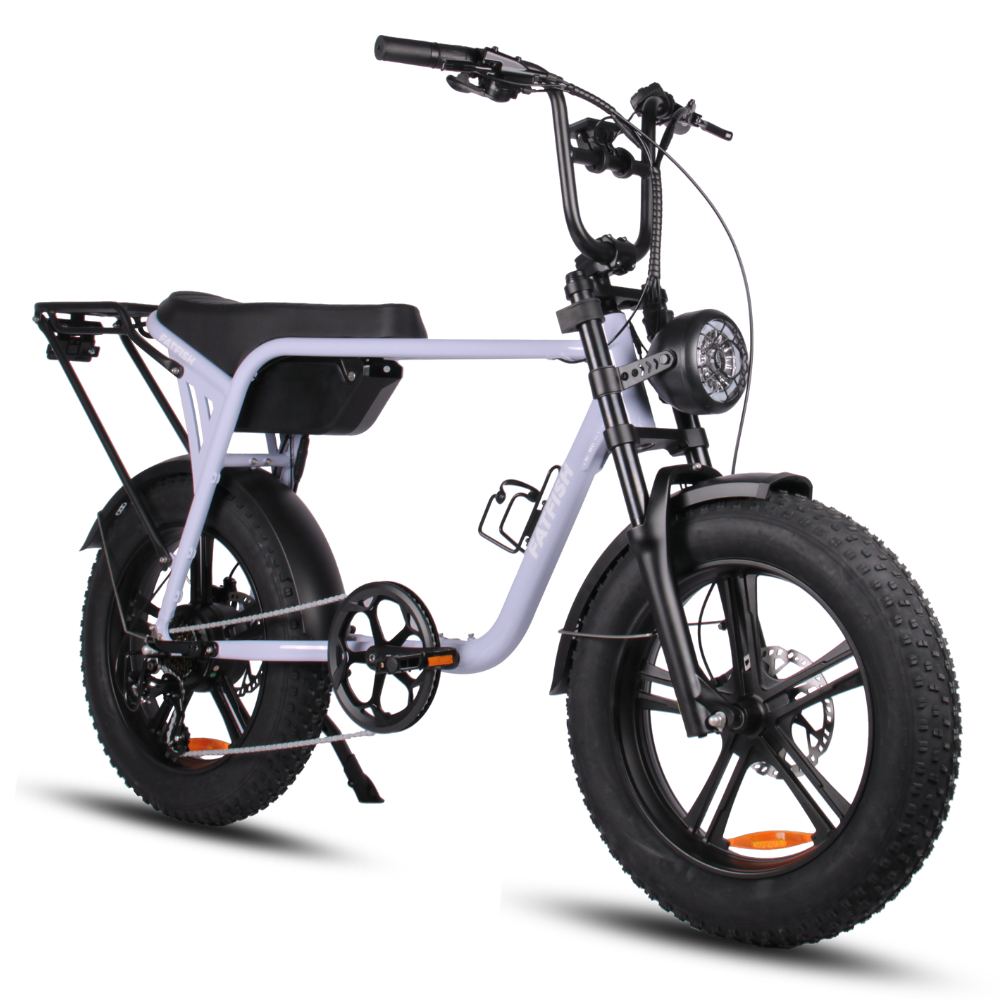 Fatfish Biggie 20AH Fat Tyre E-Bike