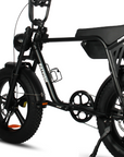 Fatfish Biggie 20AH Fat Tyre E-Bike