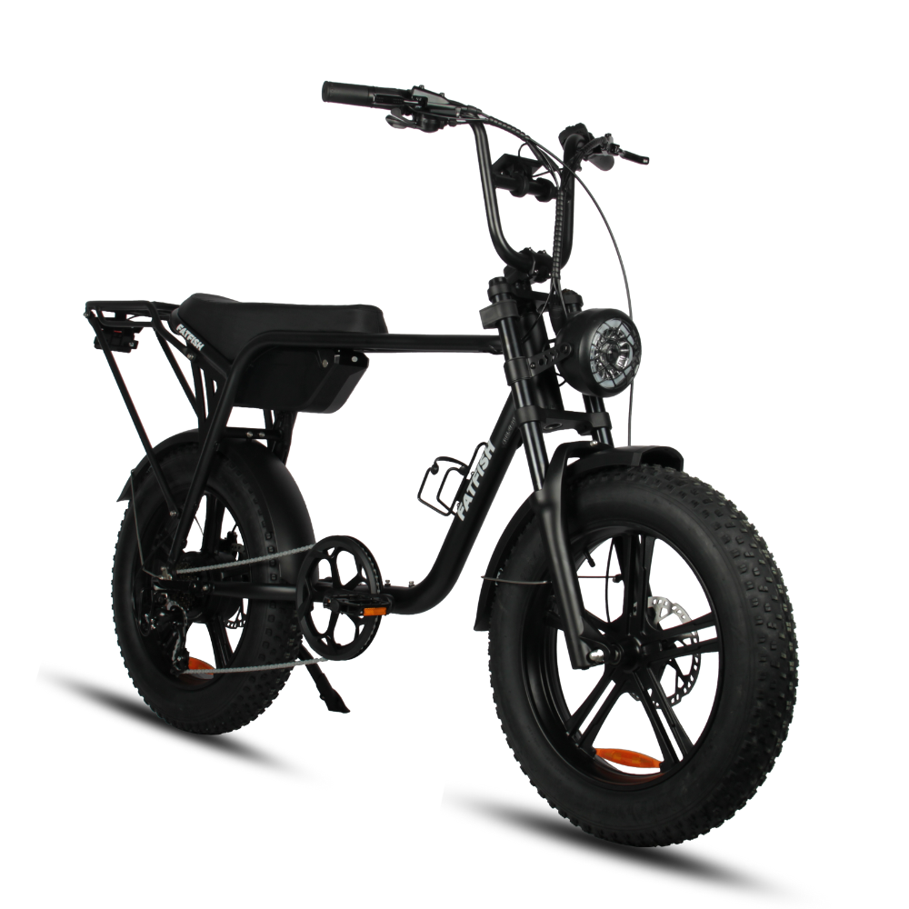 Fatfish Biggie 20AH Fat Tyre E-Bike