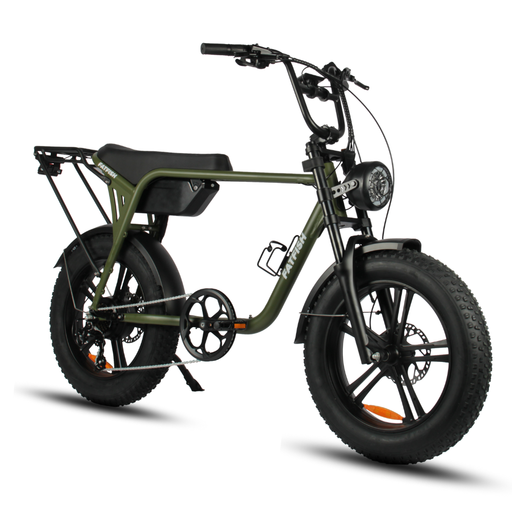 Fatfish Biggie 20AH Fat Tyre E-Bike