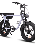 Fatfish Biggie 20AH Fat Tyre E-Bike