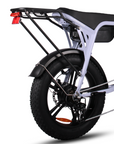 Fatfish Biggie 20AH Fat Tyre E-Bike