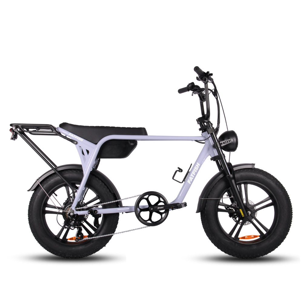 Fatfish Biggie 20AH Fat Tyre E-Bike