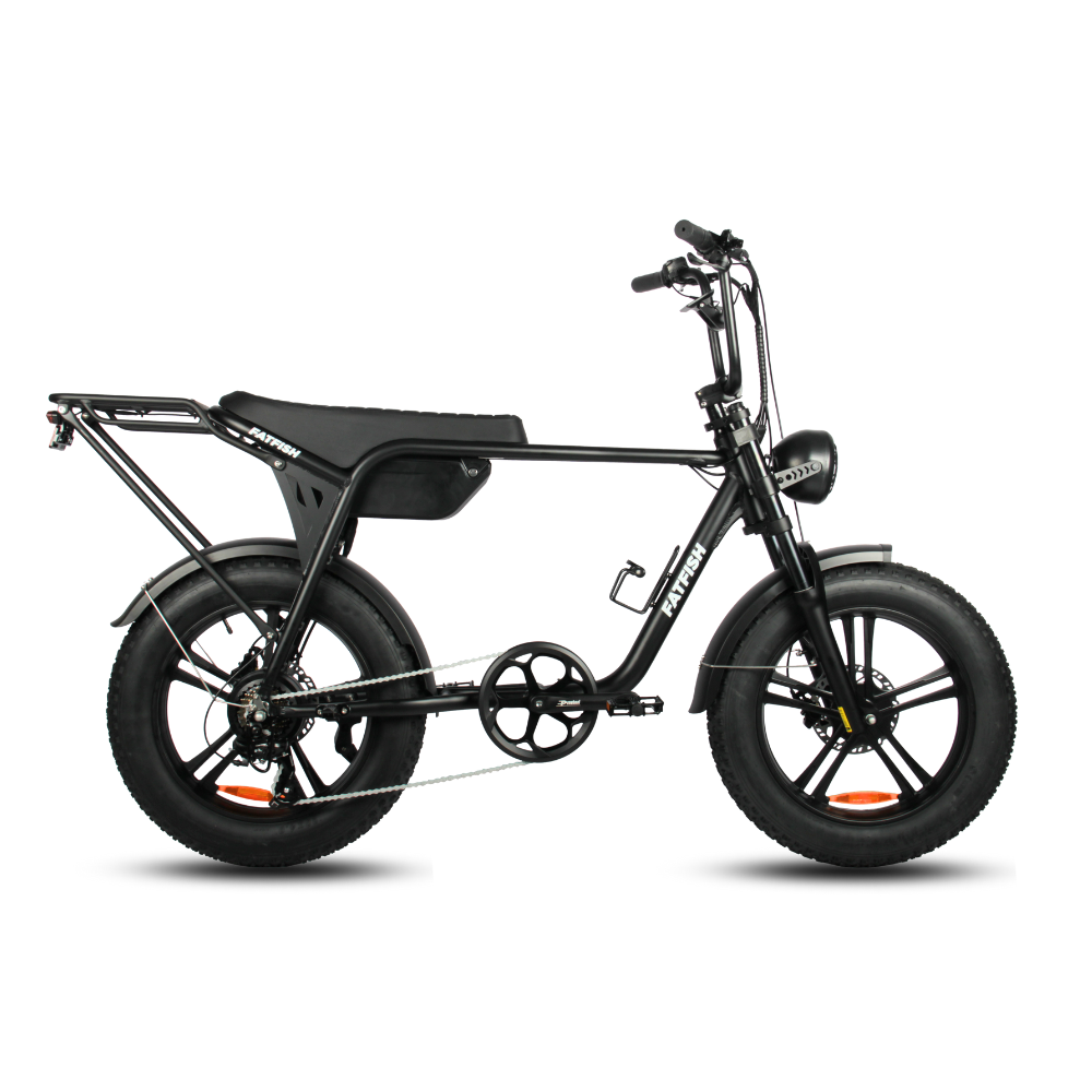 Fatfish Biggie 20AH Fat Tyre E-Bike