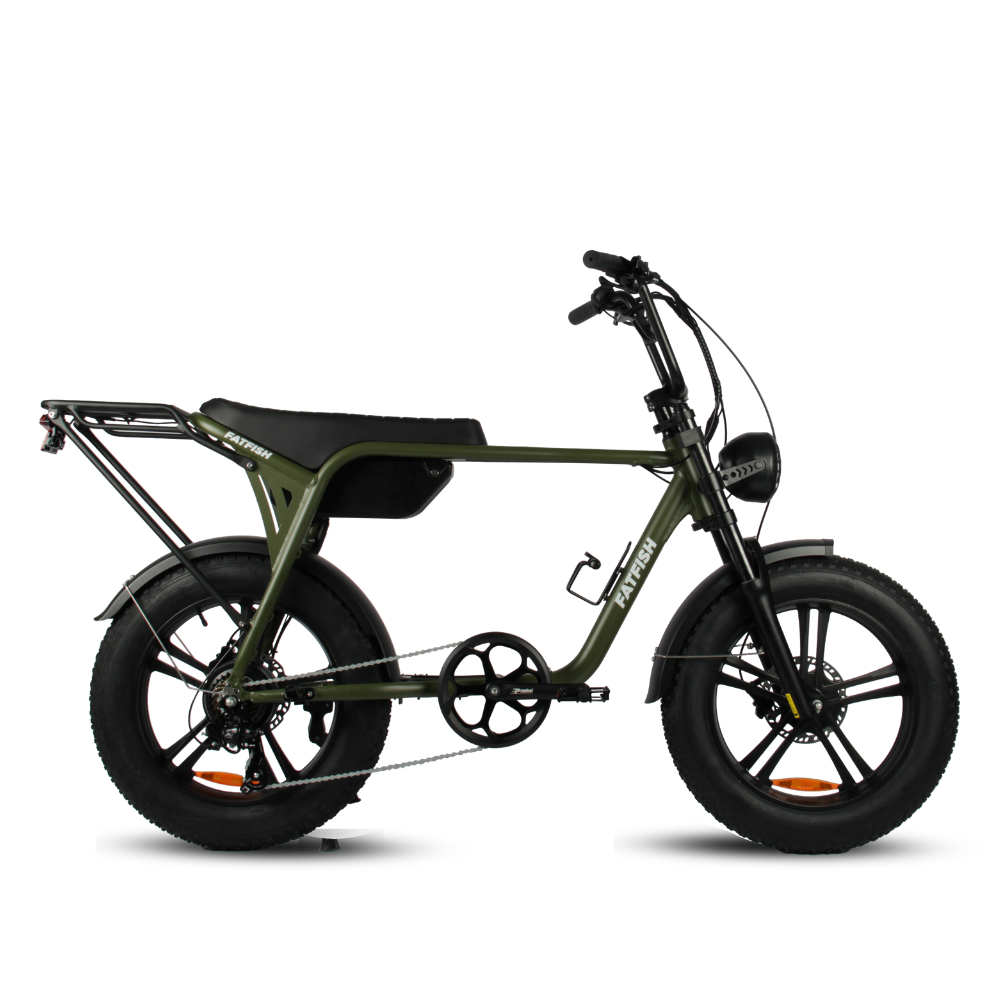 Fatfish Biggie 20AH Fat Tyre E-Bike