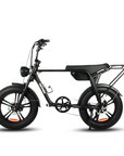 Fatfish Biggie 20AH Fat Tyre E-Bike