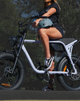 Fatfish Biggie 20AH Fat Tyre E-Bike