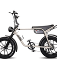 Fatfish Fat Tyre E-Bike